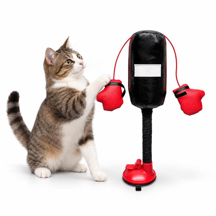 Cat Boxing Toy