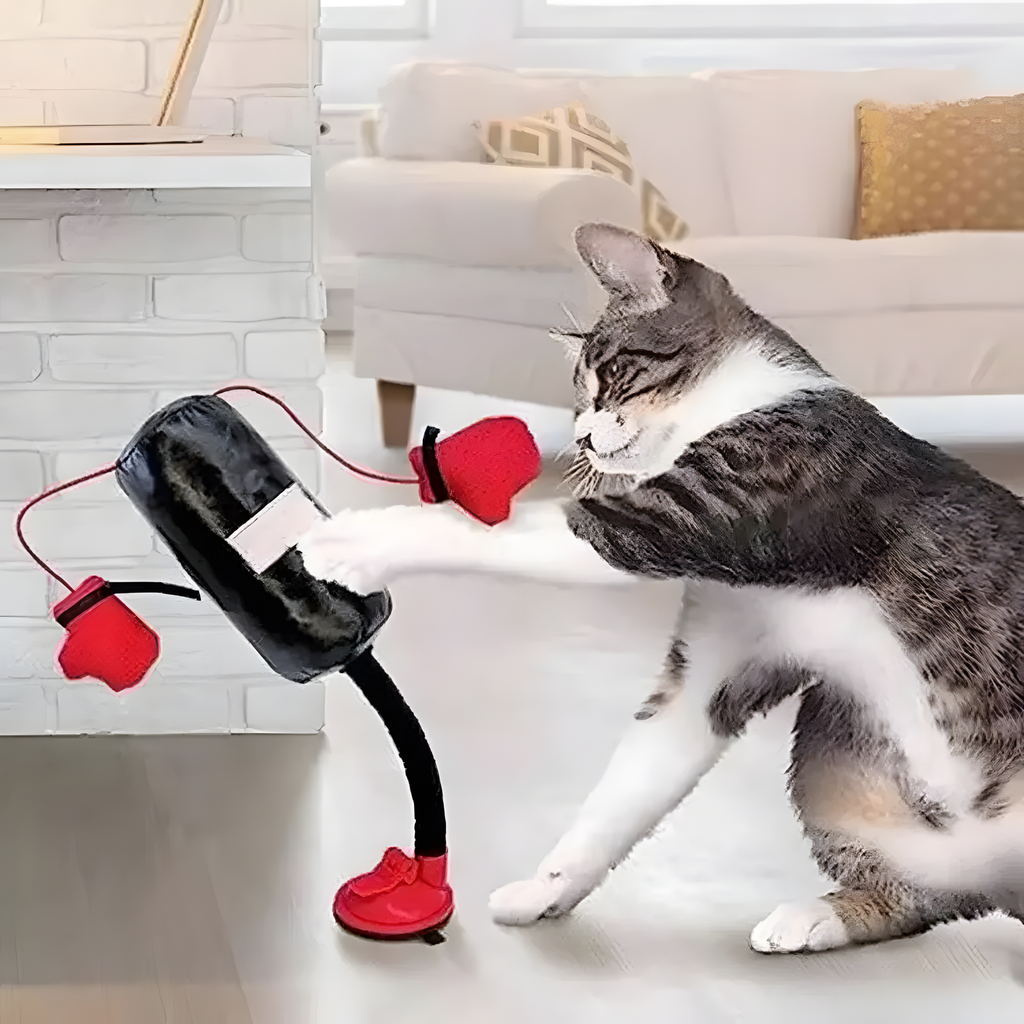 Cat Boxing Toy