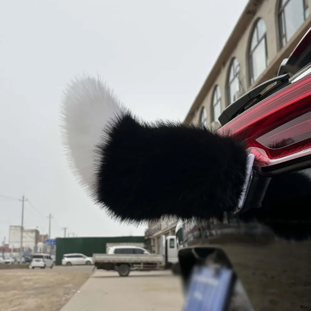 Wagging Car Tail